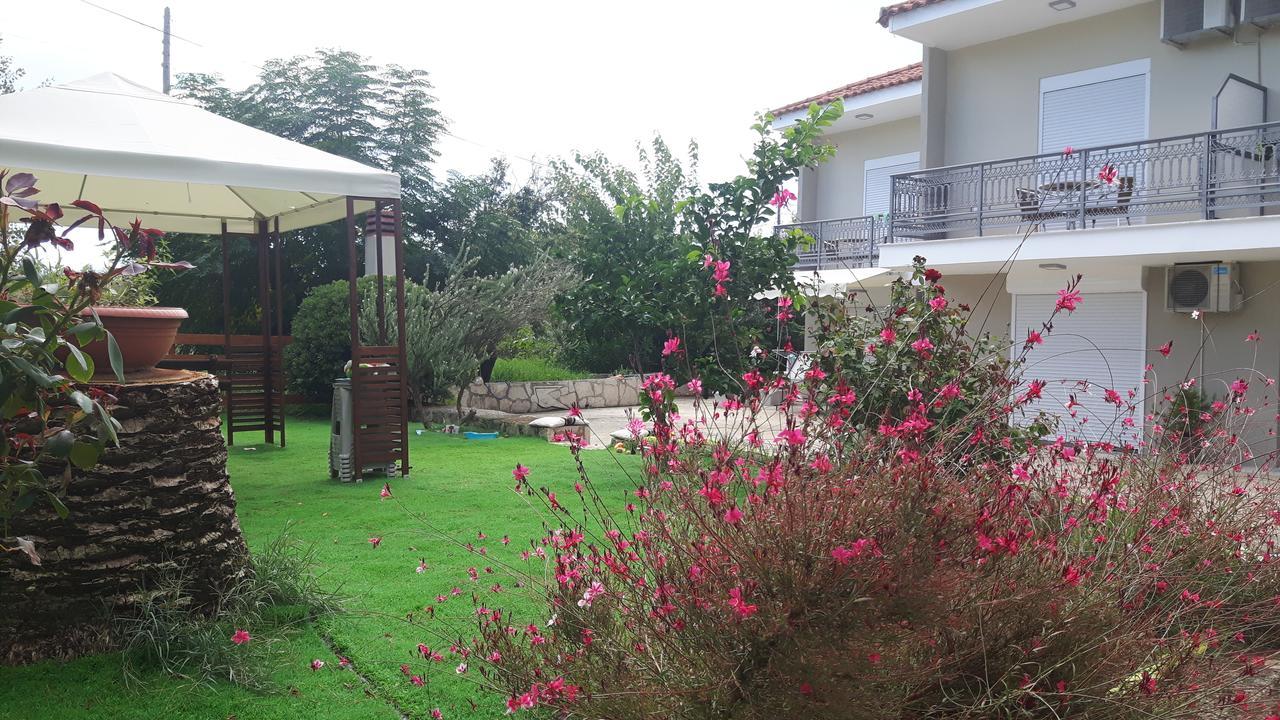 Apartament Alba Boutique *